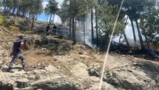 Vatër zjarri në pyjet e Fushë-Arrëzit, flakët përfshinë një sipërfaqe me drurë pishe pranë fshatit Tuç duke rrezikuar edhe banesat! (VIDEO)