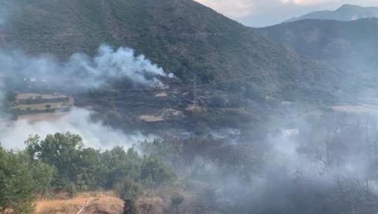Vatër e re zjarri në Klos, rrezikohen dy banesa! Temperaturat e larta dhe era vështirësojnë shuarjen, kërkohet ndërhyrje nga ajri