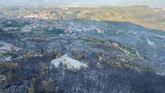 Zjarri rrethoi banesat në Krujë, gjithçka rreth e rrotull e shkrumbuar! Pasojat që lanë pas flakët 