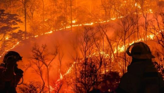 Mbi 20 mijë të evakuuar, Kanadaja shpall gjendjen e jashtëzakonshme nga zjarret masive, mbi 100 vatra aktive