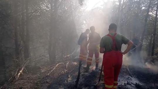 Zjarri në Drenie të Patosit dhe në zonën e Mallakastrës, më shumë se 40 forca po punojnë për shuarjen e flakëve