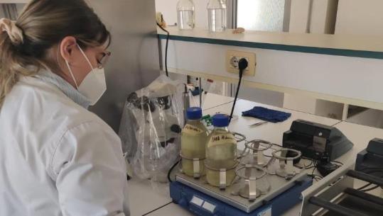 Ngjyra e errët në vijën bregdetare në Hamallaj të Durrësit, Ujësjellës-Kanalizimet: Sot janë marrë mostra të ujit në zonë, do publikohen parametrat teknikë
