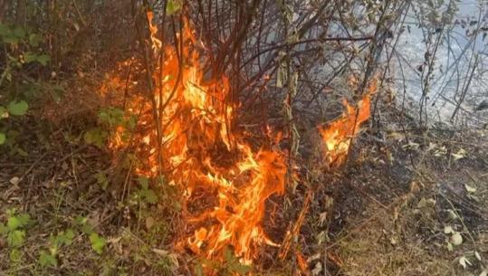 Zjarr i përmasave të mëdha në Klos, rrezikohen banesat! Dy vatra në Krastë të Krujës, ndërhyn helikopteri (VIDEO)