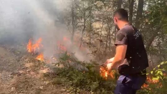 Zjarri i madh në Klos, flakët përhapen pranë banesave, banorët kërkojnë më shumë forca zjarrfikëse në terren