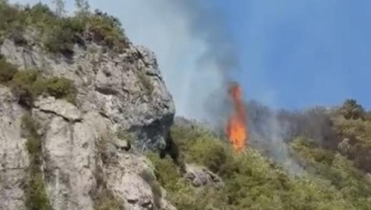 Krujë, zjarri riaktivizohet nga era, banorët dalin në ndihmë të zjarrfikësve (VIDEO)