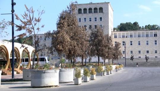 Më pak se një vit nga çelja, thahen pemët te “Tirana Moons”! Ishte konceptuar si një bibliotekë e hapur brenda një instalacioni