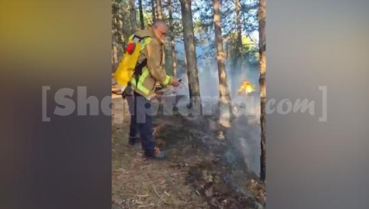 Zjarri kërcënon ‘kurorën e gjelbër’ të Pukës, dyshohet i qëllimshëm