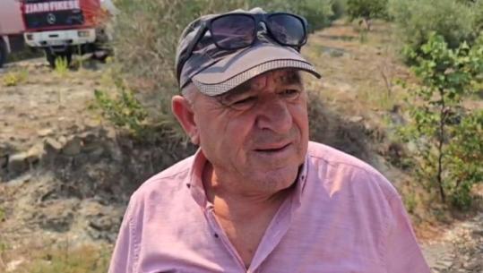 Patos/ Zjarri në Drenie kërcënon banesat, banorët: Rrezikon edhe pishat, ‘mushkërinë e Myzeqesë’! Përpiqemi të shpëtojmë sa mundim