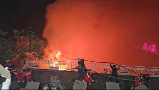 Zjarret që ‘dogjën’ Shqipërinë nga dora e njeriut! Nga qershori deri më sot, 21 piromanë në pranga