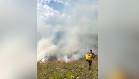 Zjarr në Orenjë të Librazhit, digjen shkurre e pemë, flakët pranë ndërtesave