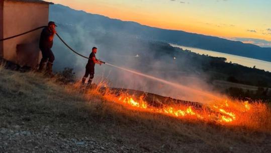 Zjarr në fshatin Tushemisht të Pogradecit, forcat zjarrfikëse ndërhyjnë në kohë dhe shuajnë flakët