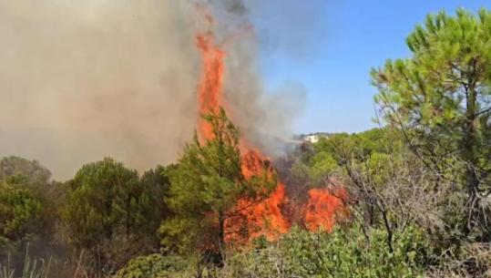 Përhapet zjarri në Drenie, kërkohet ndërhyrje nga ajri
