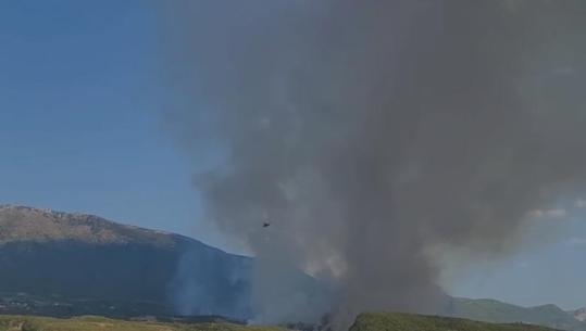 10 vatra aktive zjarresh në vend/ Situatë kritike në Daias të Tiranës, ndërhyet me 2 helikopterë! Flakët në Parkun Kombëtar të Lurës u afrohen banesave (VIDEO)