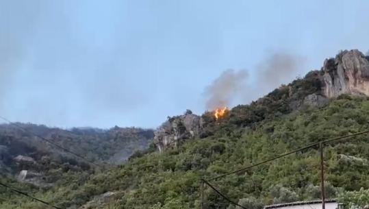 Era e fortë favorizon zjarret në Krujë, tre vatra aktive! Ndërhyrje me mjete dhe njerëz nga toka