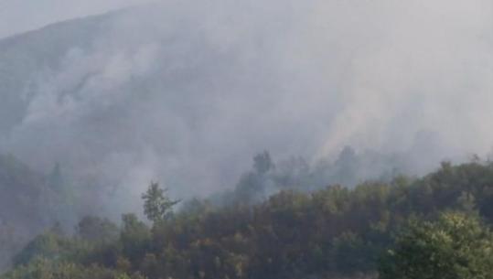Zjarret/ Vihet nën kontroll situata në Daias të Tiranës, ndërhyn edhe helikopteri! Në Krujë flakët vetëm 10 metra larg banesave, vijojnë në Lurë e Mallakastër (VIDEO)