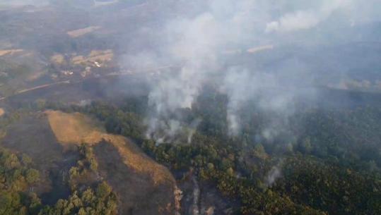 Zjarret/ Vihet nën kontroll situata në Daias të Tiranës, ndërhyn edhe helikopteri! Në Krujë flakët vetëm 10 metra larg banesave, vijojnë në Lurë e Mallakastër (VIDEO)