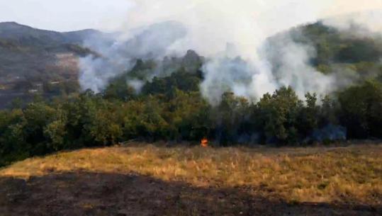 Pamjet me dron/ Si paraqitet situata pas zjarrit në Lundër e Priskë