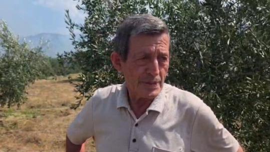 Zjarri, qytetari: Flakët nisën fillimisht në Priskë, më pas u hapën si pasojë e erës (VIDEO)