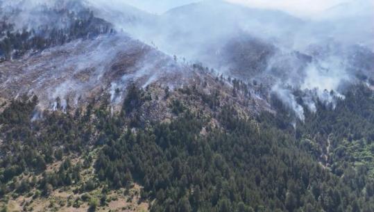 14 vatra zjarri aktive në Shqipëri, Ministria e Mbrojtjes: Situatë e rënduar në Gurë-Lurë të Dibrës dhe Elbasan! Flakët në ‘kurorën’ e Tiranës vihen nën kontroll