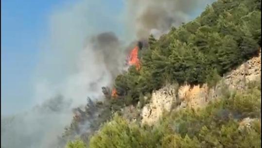 11 vatra aktive/ Përhapen në 3 drejtime flakët në Parkun e Lurës, rrezikojnë disa banesa, ndërhyjnë 2 avionë! S’ka qetësi për Krujën, zjarr pranë Zidollit