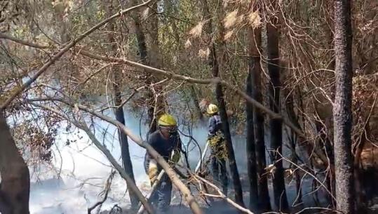 Era favorizon flakët në Krastën e Krujës, pesë vatra zjarri nën monitorim