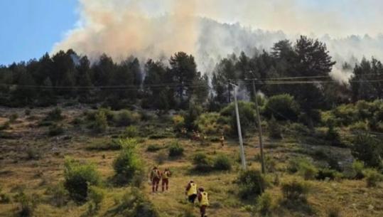 Kurora e gjelbër e Lurës mbulohet nga tymi, zjarri u afrohet 2 banesave, forcat në terren punojnë pa ndërprerje
