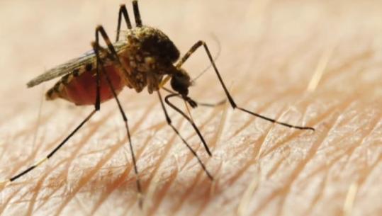 Virusi i Nilit përhapet në rajon, Maqedonia e Veriut regjistron viktimën e dytë, Greqia numëron 9 të vdekur e mbi 110 raste