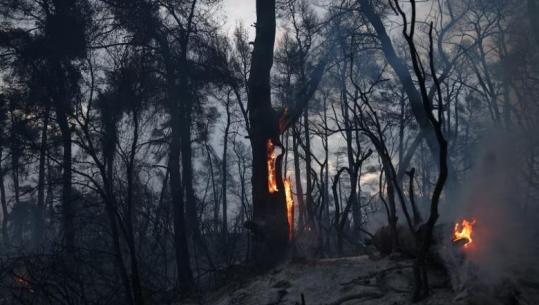 Greqia në alarm për zjarret, 10 rajone në gatishmëri! Ndalohet lundrimi në 2 porte, shqyrtohet ndalimi i vizitorëve në parqe e pyje