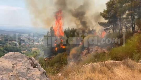 Sërish zjarr në Zidoll të Krujës, zjarrfikësit në aksion për shuarjen