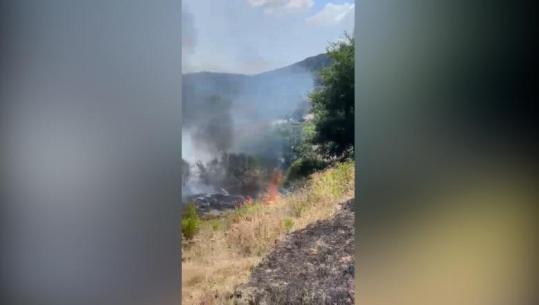 Zjarr në Novoselë, era e fortë vështirëson betejën me flakët! Digjet ullishtja