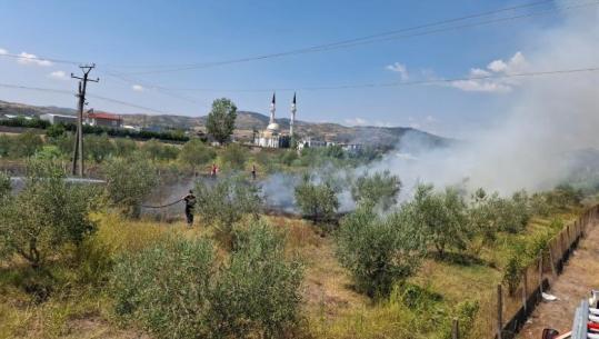 Flakët përfshijnë ullishten në Cërrik, zjarrfikësit neutralizojnë rrezikun pranë banesave