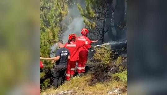 Zjarret në Lurë e Dajt, 100 efektivë të Forcave të Armatosura të angazhuar në terren, Nufi: Mirënjohje për guximin dhe përkushtimin!