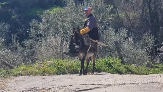 Fier/Gurëzeza e harruar, 4 kilometra rrugë mbajnë larg turistët dhe besimtarët! Banorët: Lëvizim me gomerë