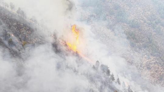Përparon zjarri në Tërbun, arrin deri në Gojan të Vogël! Era favorizon flakët, rrezikohen 3 stane