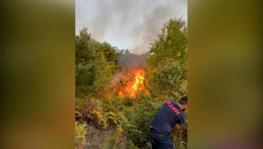 Dy vatra zjarri në Mirditë, nuk ka rrezik për banesat