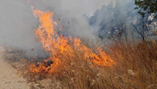 ‘Luftë’ me flakët në Prilep të Maqedonisë së Veriut, zjarri përhapet në 4 drejtime