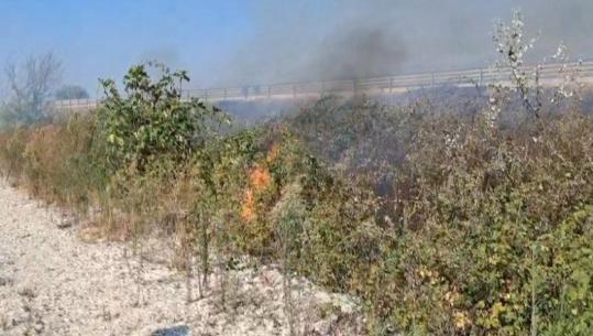 Zjarr në Bilaj të Krujës, digjen sipërfaqe toke e pemë! Flakët pranë autostradës Thumanë-Kashar