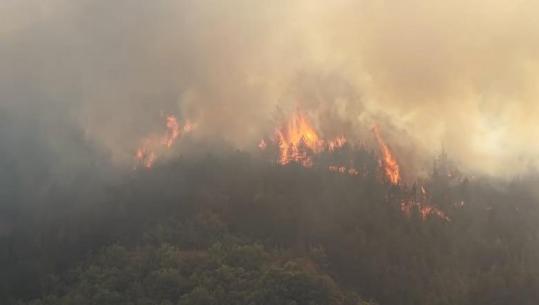 Pamje me dron/ Flakë apokaliptike në Gojan të Pukës, jepet urdhri i evakuimit! Zjarri djeg masivin pyjor në Milot, rrezikohen banesat