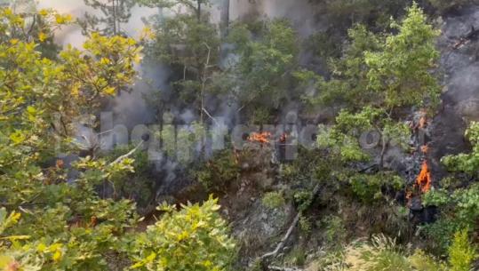 Pukë/ Përmirësohet situata në zonën pyjore, vatra problematike mbetet ajo në Gojan