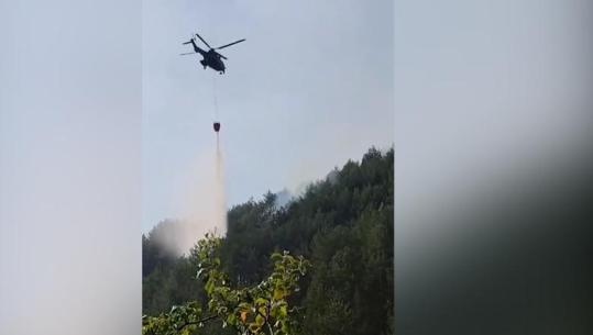 Pamjet nga beteja me zjarret në Milot, Pukë e Vlorë, Nufi: 252 ushtarakë në krah të komuniteteve! (VIDEO)