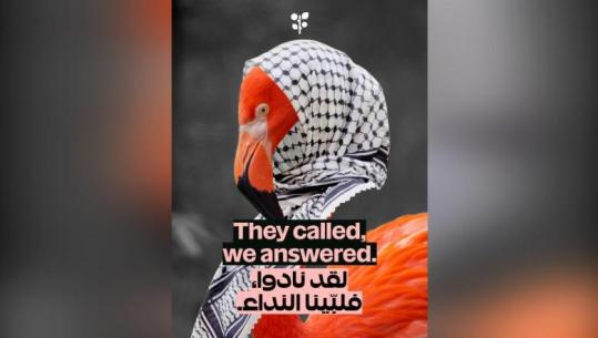 Edmond Spaho: Shqipëria nuk është Palestinë, as koloni e Sorosit dhe e të majtës reaksionare botërore!