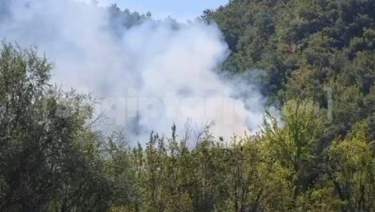 Tre vatra zjarri në fshatin Kujtim të Bashkisë Klos, dyshohen të qëllimshme (VIDEO)
