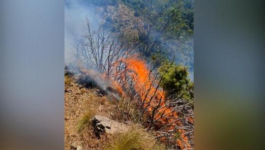 Zjarr pranë banesave në Derstil të Elbasanit, flakët rrezikojnë shtëpinë e një të moshuare dhe një biznes (VIDEO)