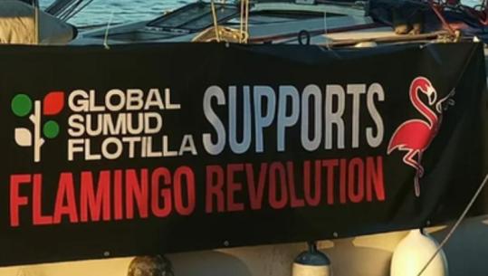 Ylli Pata: Pasojat e palestinizimit të revolucionit!