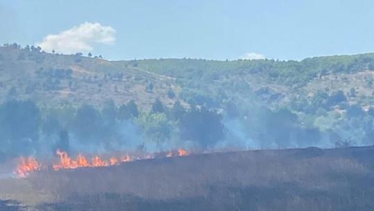 Vatër zjarri në Ersekë, digjet një sipërfaqe toke, dyshohet të ketë nisur nga varrezat