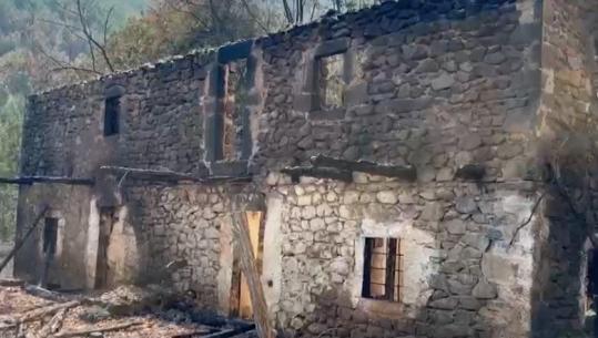 Report Tv në Gojan të Pukës/ Pas një jave betejë me flakët, fshati i rikthehet qetësisë! Mes dëmeve që la zjarri, banorët rrëfejnë tmerrin: Ishte si luftë