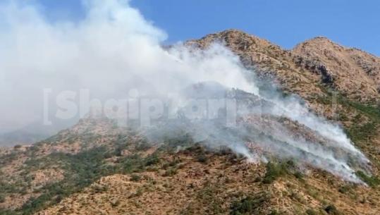 Zjarr mbi Vajkal të Bulqizës, dyshohet i qëllimshëm (VIDEO)