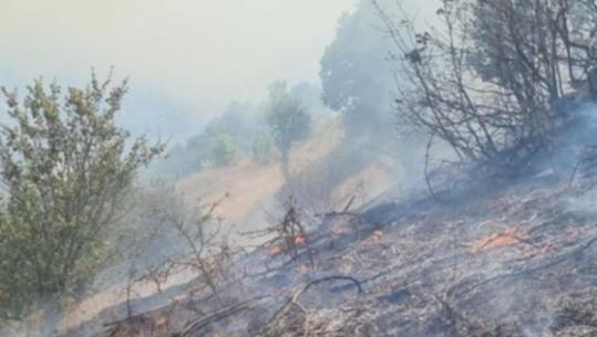 Zjarr në Maliq, flakët përfshijnë pyje dhe kullota në fshatin Plovisht
