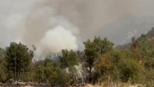 Zjarri i fuqishëm në Vranisht të Vlorës, flakët përhapen me shpejtësi, ndërhyjnë helikopterët