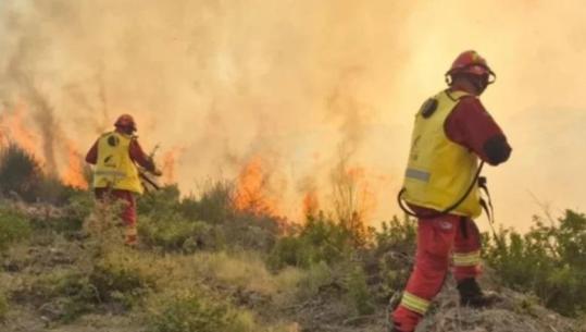 Zjarret, 7 vatra ende aktive! Flakët vijojnë në Dajt e Bulqizë, rëndohet situata në Vranisht të Vlorës! 2 helikopterë dhe një Air Tractor në operacion, shoqërohet një person VIDEO)